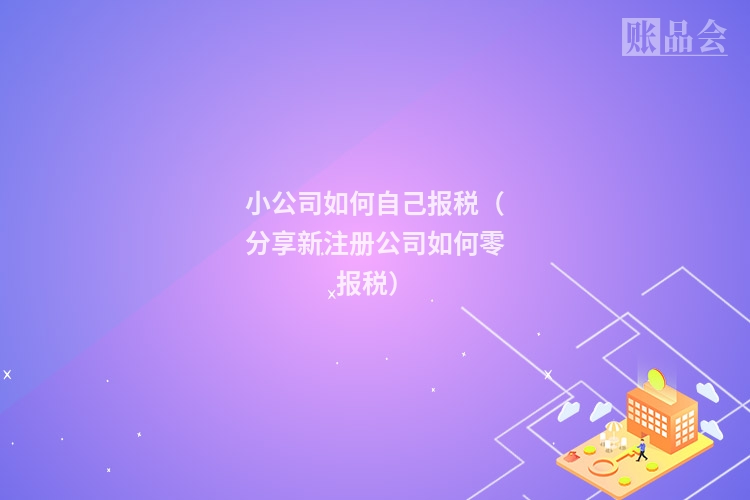 小公司如何自己报税（分享新注册公司如何零报税）