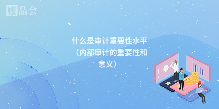 什么是审计重要性水平（内部审计的重要性和意义）