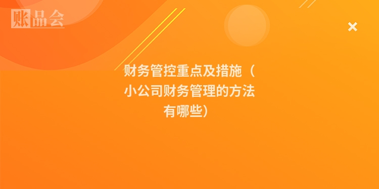 财务管控重点及措施（小公司财务管理的方法有哪些）